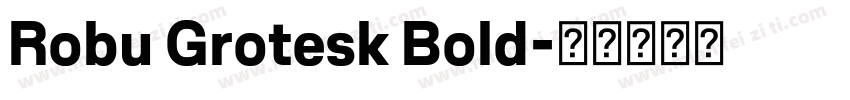 Robu Grotesk Bold字体转换